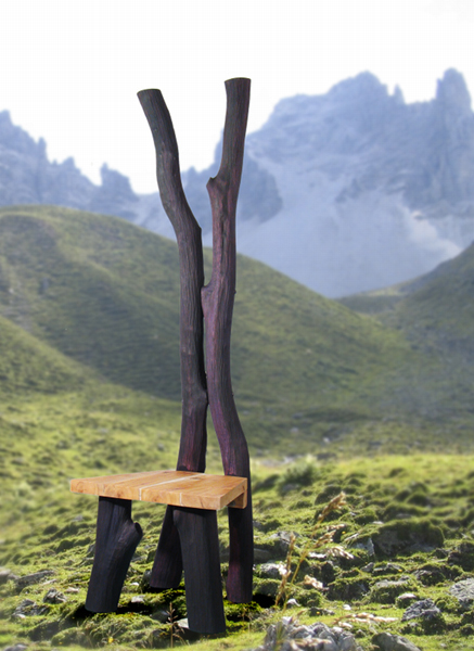 Horn Beam & Drift Wood