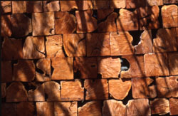 Wood and Metal Gardens